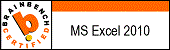 MS Excel 2010