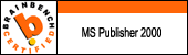 MS Publisher 2000