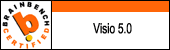VISIO 5.0
